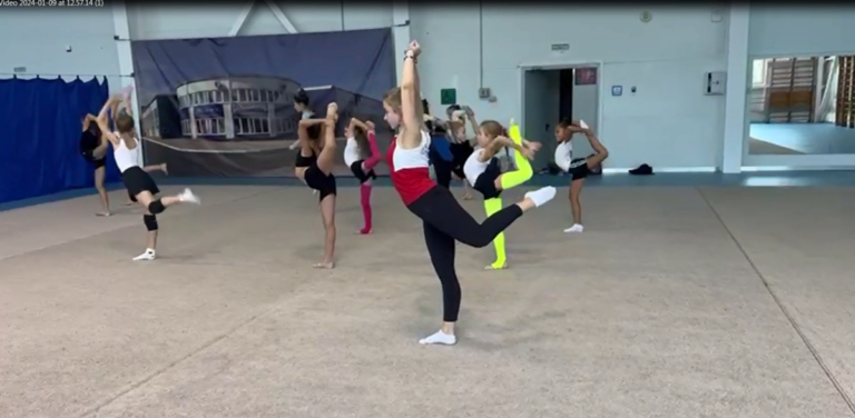 Пикантная гимнастика. Жюль леотард. Ляйсан утяшева художественная гимнастика. Гимнастика фото. Гимнастка в прыжке.